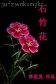 成人全景電影
